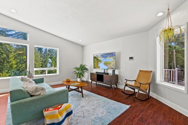 living room featuring wood-type flooring and vaulted ceiling