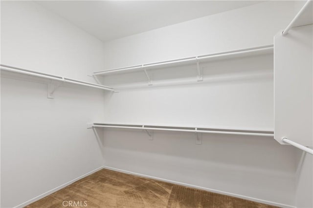 walk in closet with carpet flooring