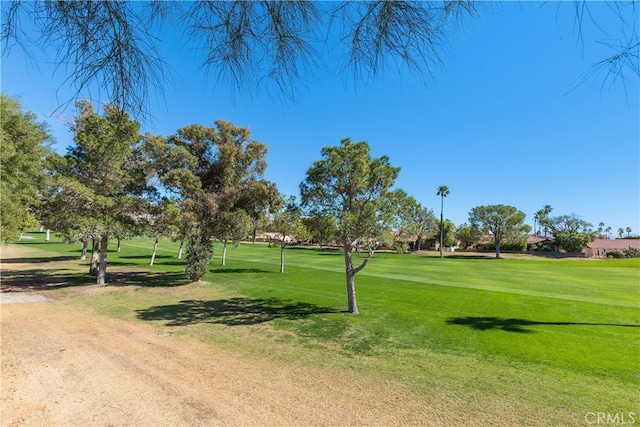 surrounding community featuring a lawn