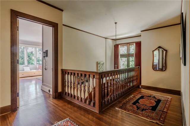 hallway with plenty of natural light, dark hardwood / wood-style floors, and crown molding