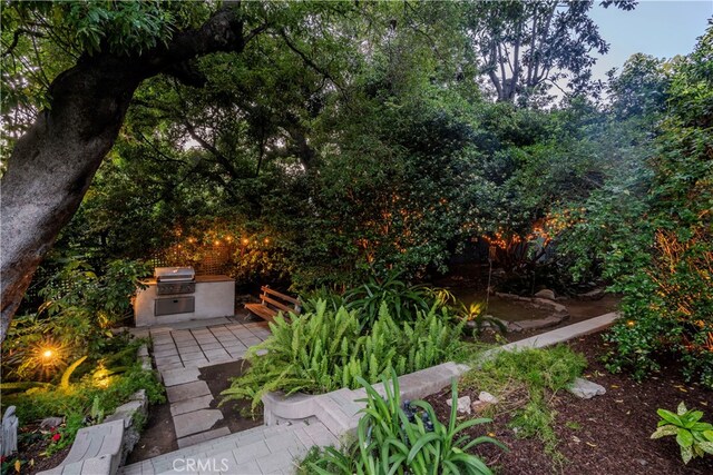 view of yard featuring area for grilling