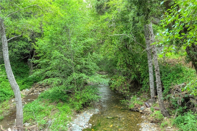 view of nature with a water view