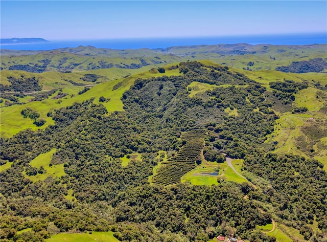 birds eye view of property with a mountain view