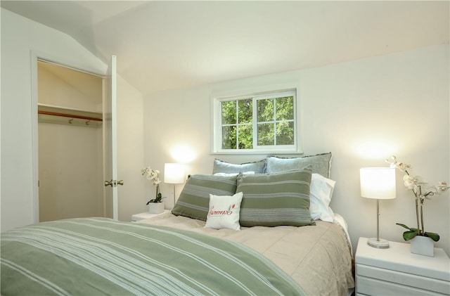 bedroom featuring a closet and vaulted ceiling