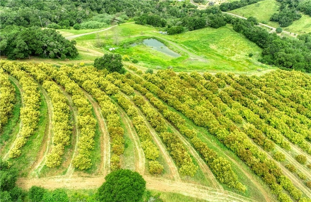 view of bird's eye view