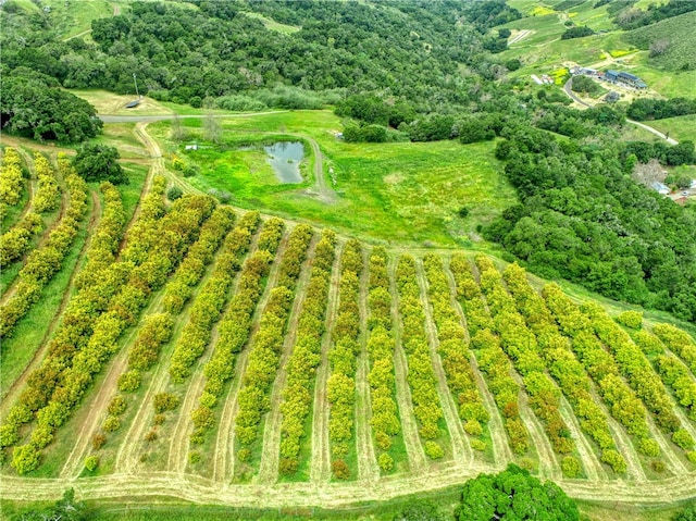 birds eye view of property featuring a rural view