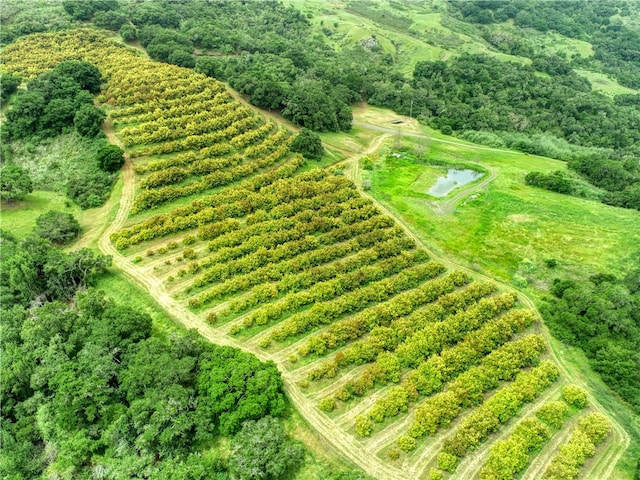 view of drone / aerial view