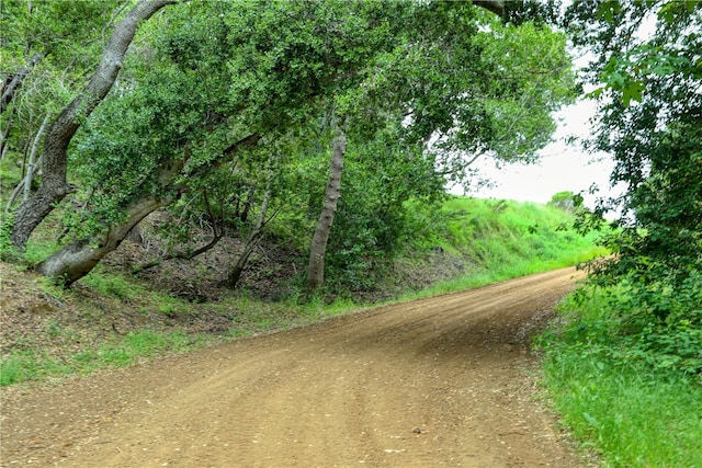 view of road