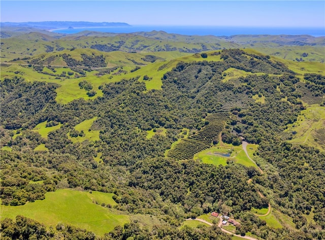 drone / aerial view with a mountain view