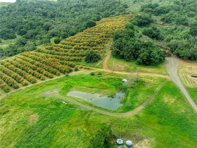 drone / aerial view featuring a rural view