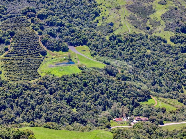 birds eye view of property with a forest view