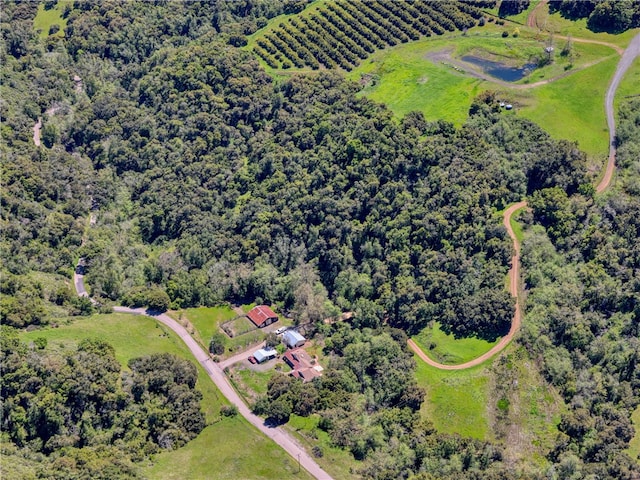 view of drone / aerial view