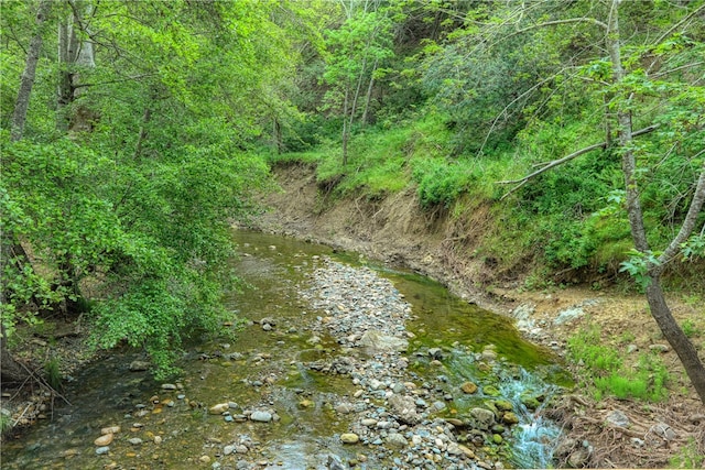 view of local wilderness with a water view