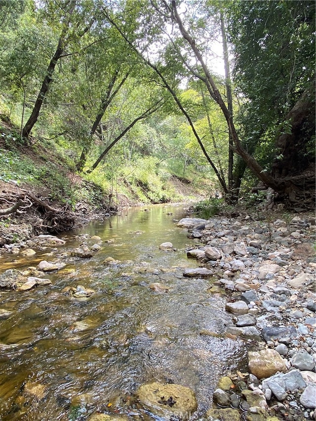 view of mother earth's splendor featuring a water view