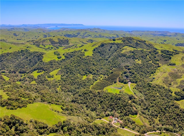 bird's eye view featuring a mountain view