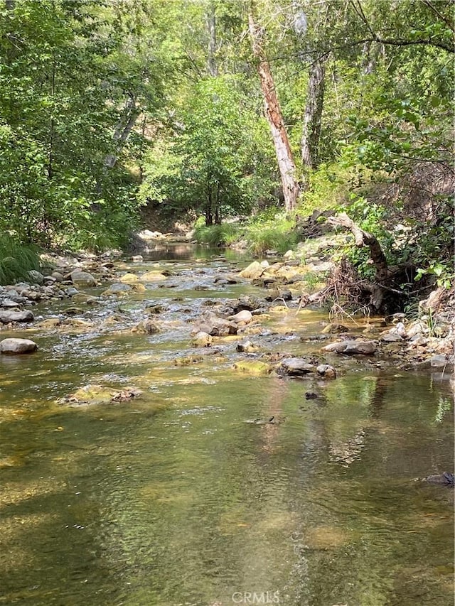 view of local wilderness featuring a wooded view