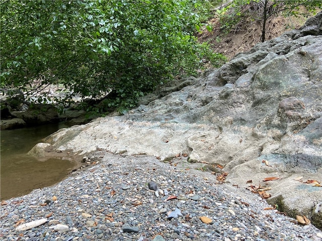 view of local wilderness with a water view