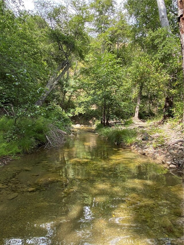 view of nature featuring a water view