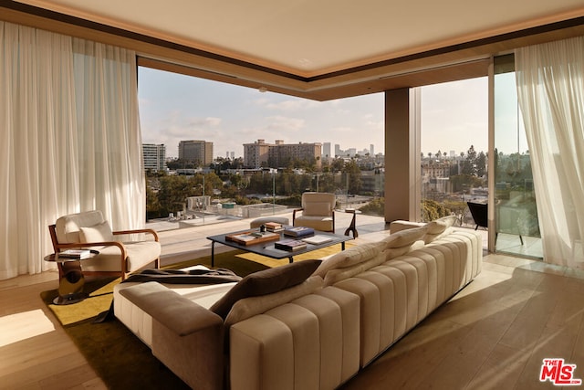 living room featuring a healthy amount of sunlight, wood-type flooring, and expansive windows