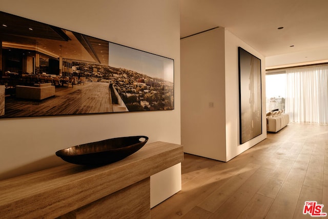 hall featuring hardwood / wood-style flooring