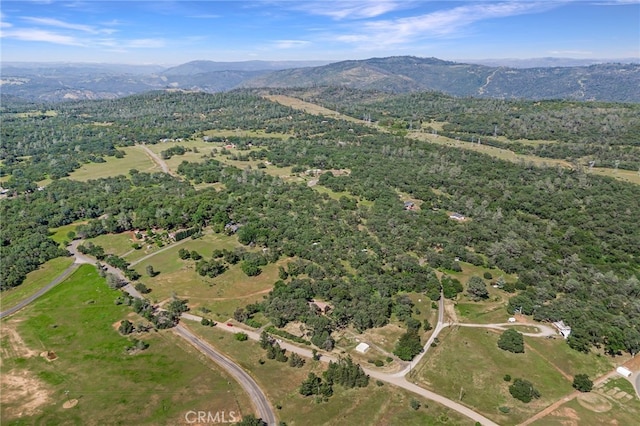 drone / aerial view featuring a mountain view
