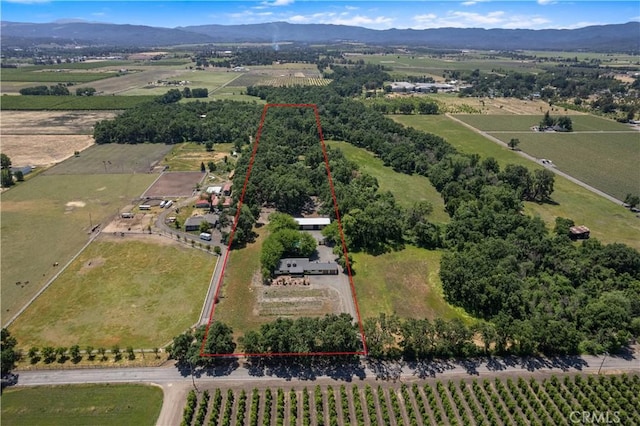 birds eye view of property with a mountain view and a rural view