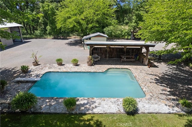 view of swimming pool with a patio area and a diving board