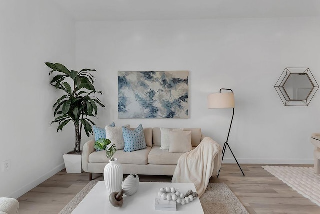 living room featuring light hardwood / wood-style floors