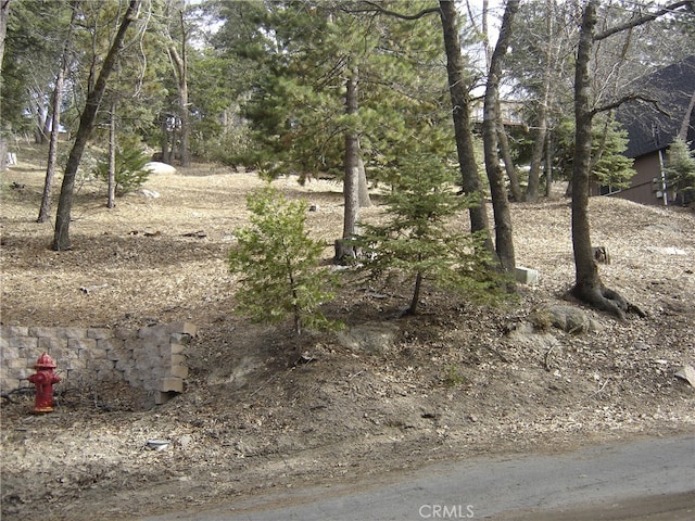 0 Pine Trl, Twin Peaks CA, 92391 land for sale