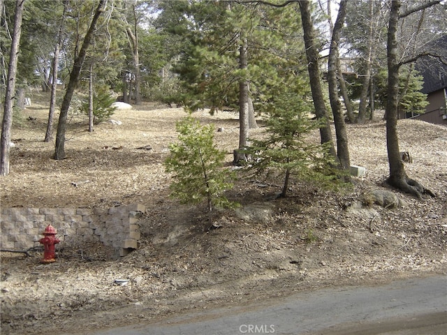 Listing photo 2 for 0 Pine Trl, Twin Peaks CA 92391