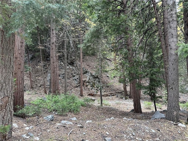 0 Canyon Dr, Forest Falls CA, 92339 land for sale