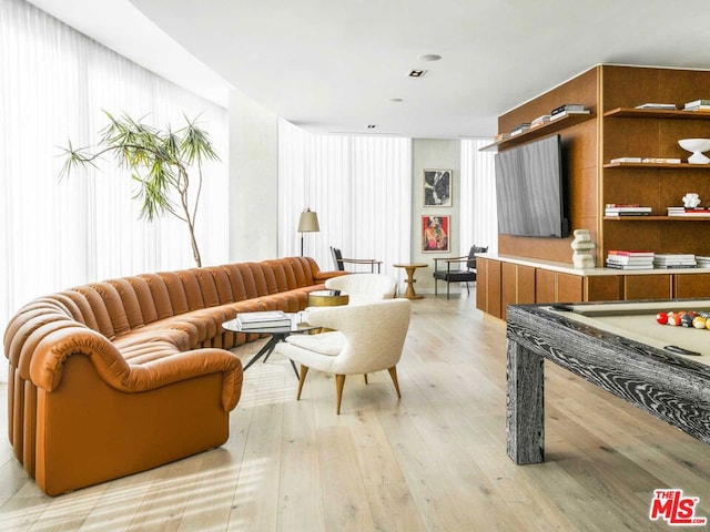 living room with light wood-type flooring