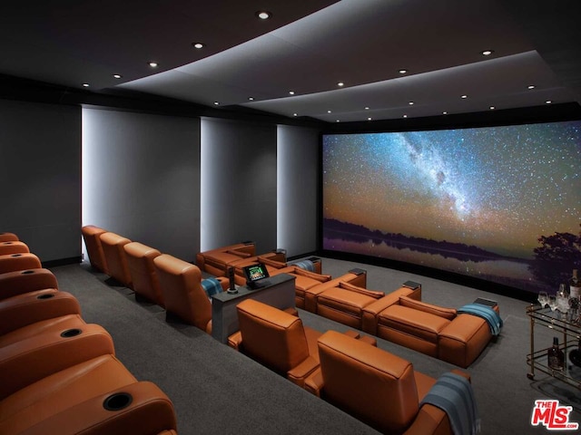 view of carpeted home theater room