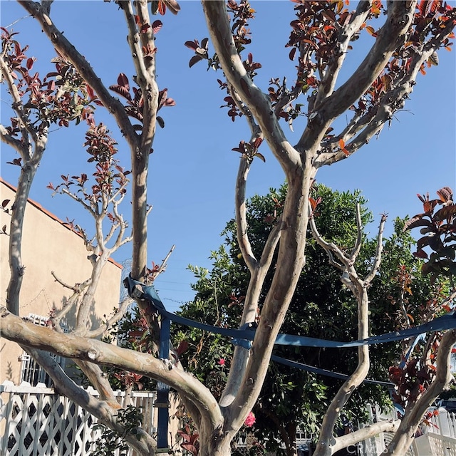 9430 Parmelee Ave, Los Angeles, CA 90002 - photo 3