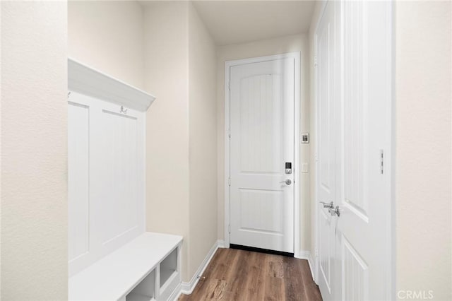 mudroom featuring dark wood-type flooring