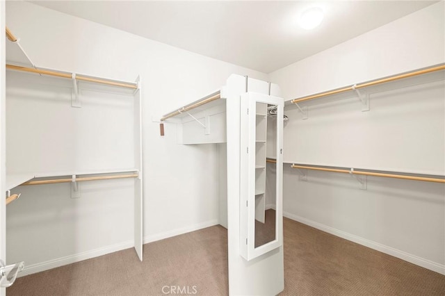 walk in closet featuring carpet floors