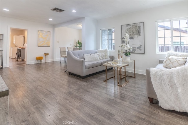 living room with dark hardwood / wood-style flooring and a wealth of natural light