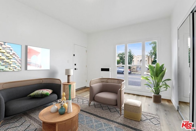 living room featuring hardwood / wood-style flooring