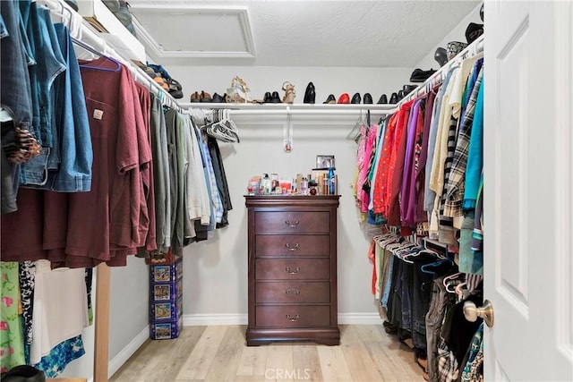 spacious closet featuring light wood-type flooring