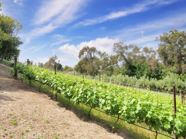 view of yard with a rural view