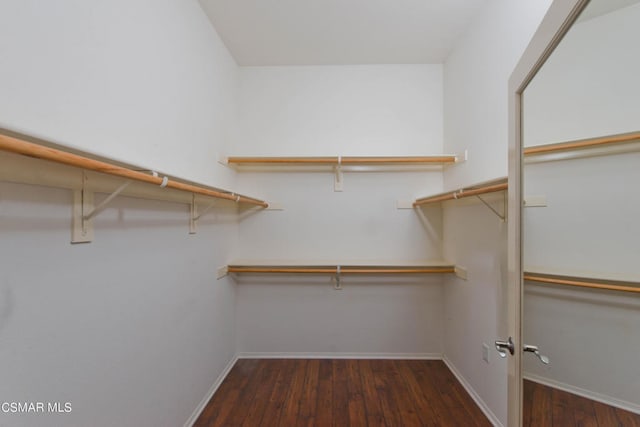 spacious closet with dark hardwood / wood-style floors