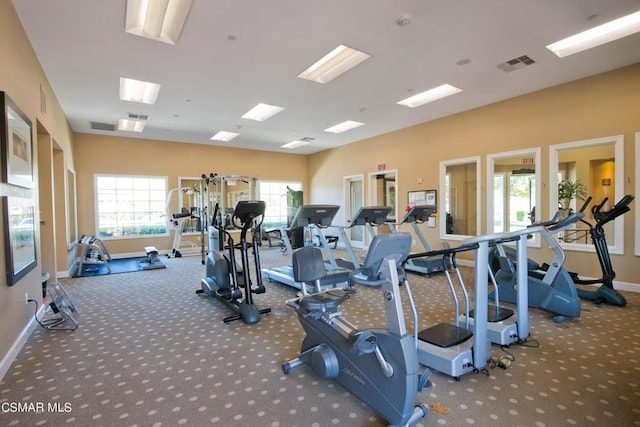 exercise room featuring carpet