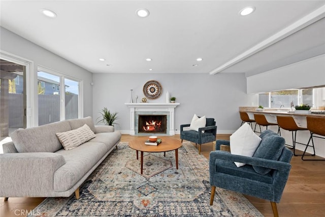 living room featuring wood-type flooring