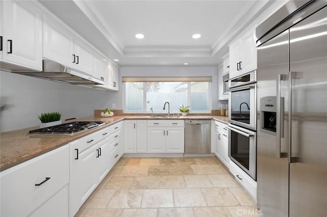 kitchen featuring white cabinetry, sink, stainless steel appliances, a raised ceiling, and crown molding