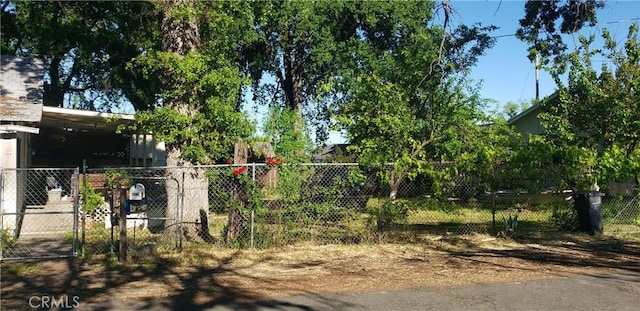 view of yard with a carport