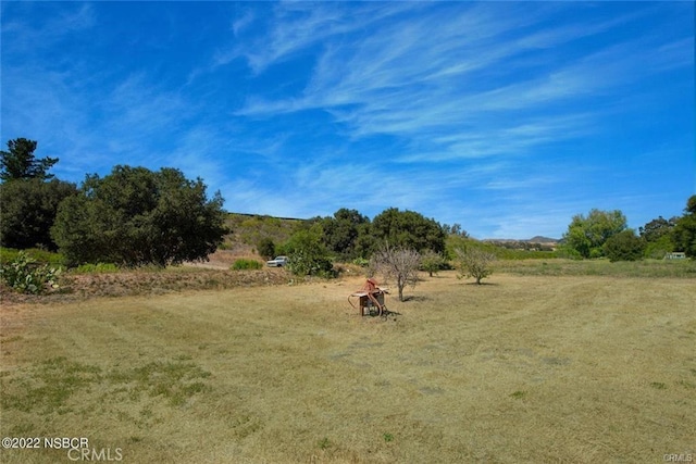 view of local wilderness