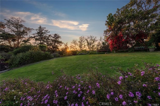 1680 Los Berros Rd, Arroyo Grande, CA 93420 - view of green lawn