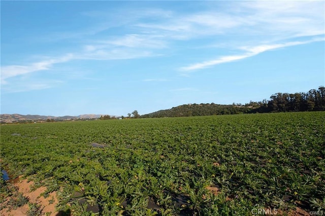 view of landscape featuring a rural view