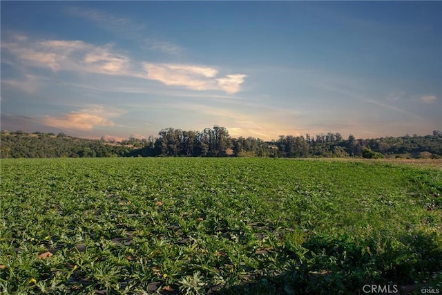 nature at dusk with a rural view