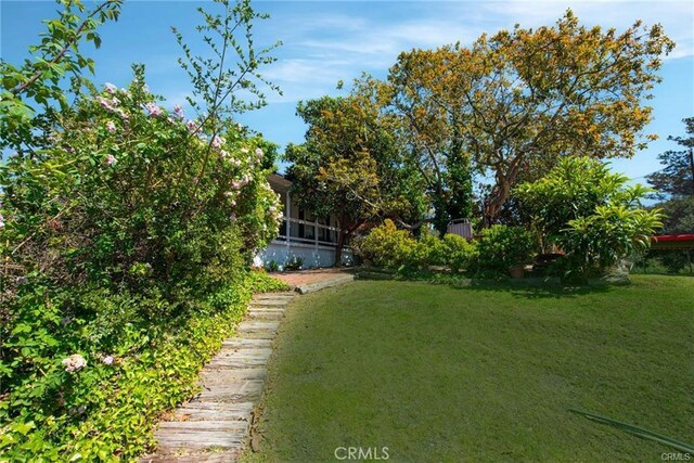 1680 Los Berros Rd, Arroyo Grande, CA 93420 - view of yard